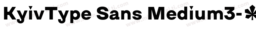 KyivType Sans Medium3字体转换
